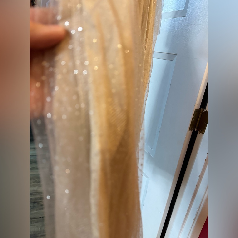 Elegant Cream Sheer Sleeve Dress with Sparkles, Open Back! New!! - Picture 13 of 14